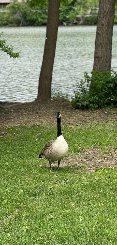 akiraalita porn onlyfans