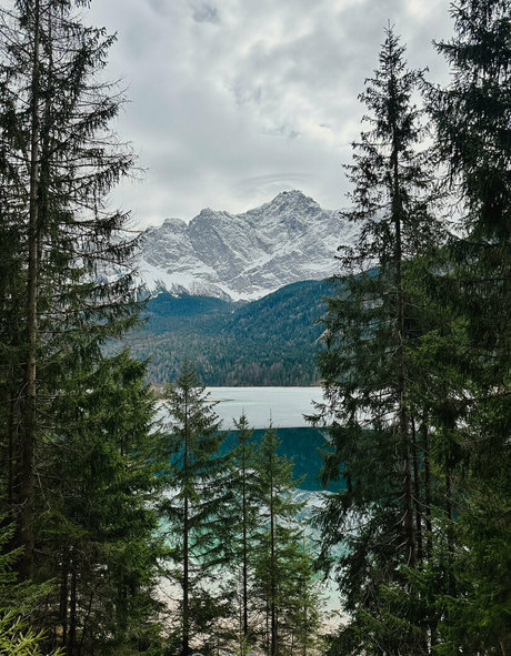 alpswander onlyfans sex leaked