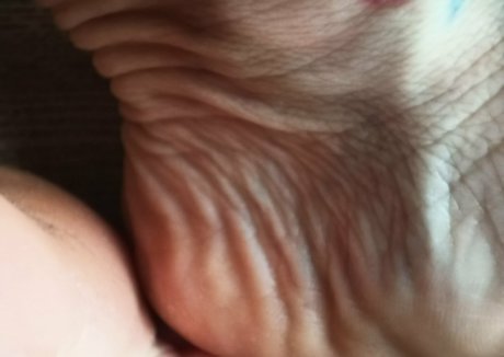 onlyblue official onlyfans de