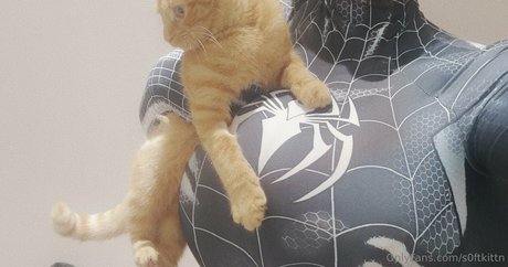 Soft kittn leaked only fans porn