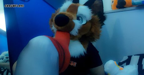 matthewfoxbe only fans xxx