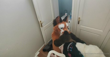 matthewfoxbe onlyfans leaks.