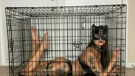 asiapolerina onlyfans sextape leak