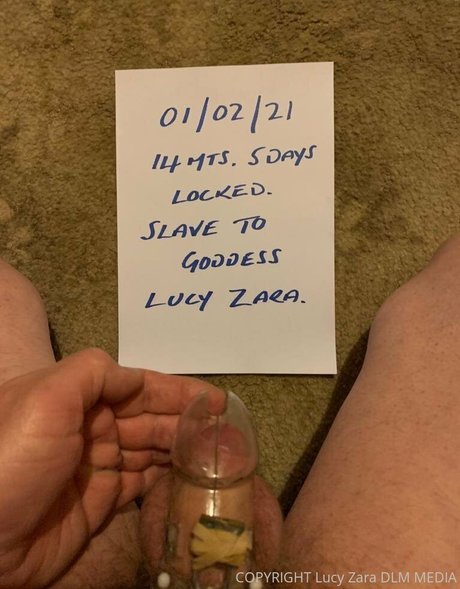 lucyzara free onlyfans