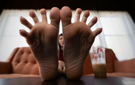 tastytaurustoes onlyfans nude content