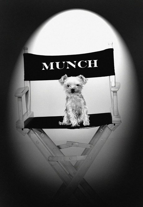 stormydaniels only fans leak porn