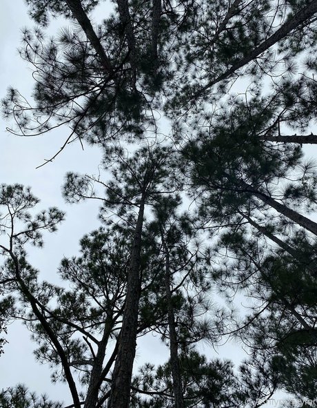 missashlynn is on onlyfans