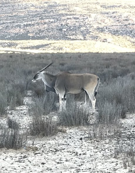 jimnewmannyc onlyfans porn