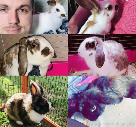 lothianjamie onlyfans leaks xxx