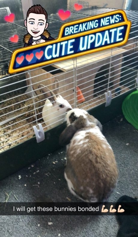 lothianjamie leaked onlyfans