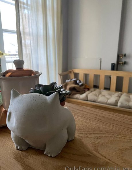 mia wu onlyfans sextape leak