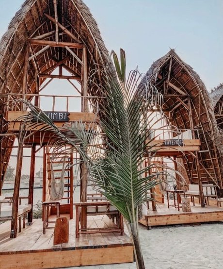 Helia Soltani onlyfans pictures