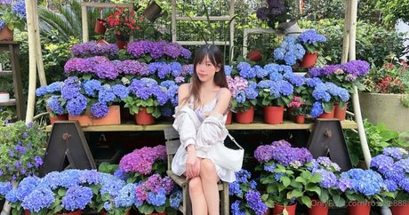 roselle888 nude only fans leaks