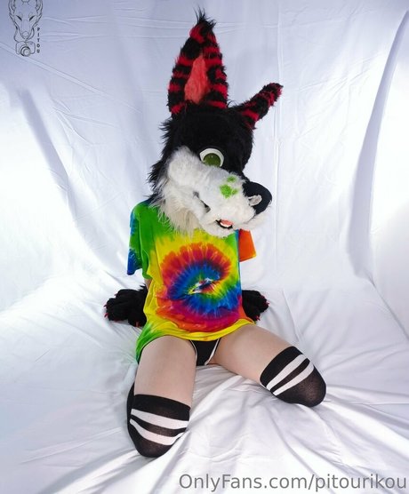 pitourikou fans only