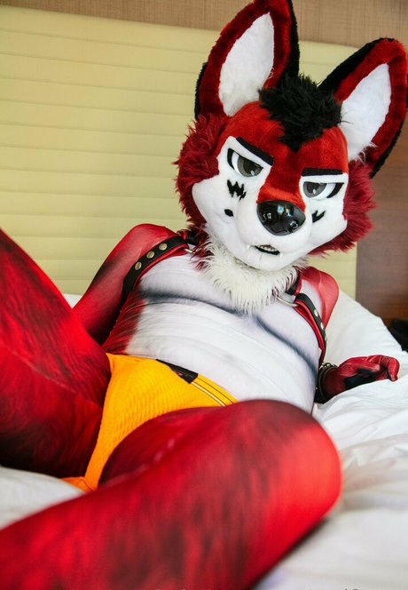 wolf ezo onlyfans free