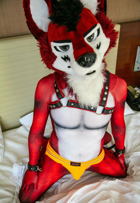 wolf ezo leaked onlyfans pictures