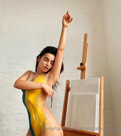 provocateurmood onlyfans nude pictures