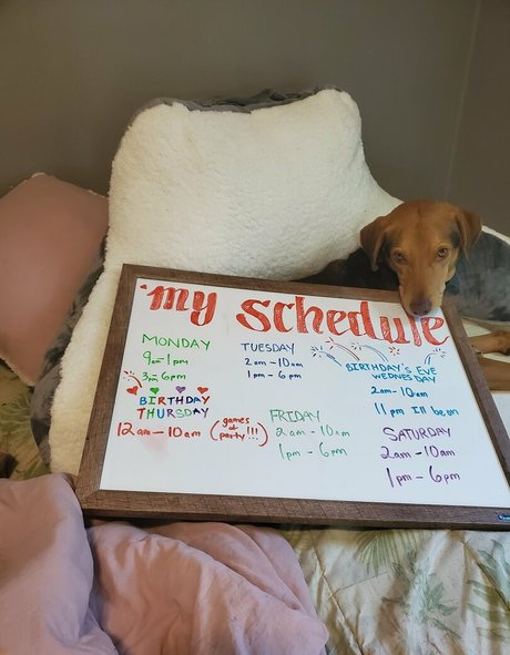 JuicyPinaypple onlyfans leaks