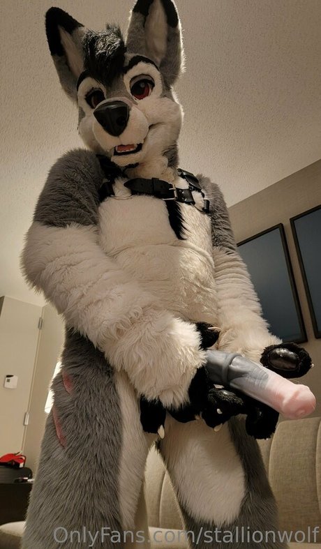 stallionwolf onlyfans pics