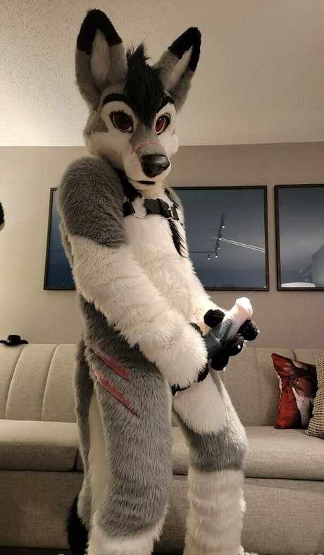 stallionwolf leaked onlyfans naked