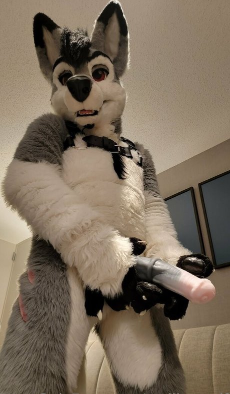 stallionwolf only fans nude