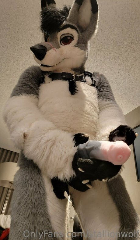 stallionwolf onlyfans leak