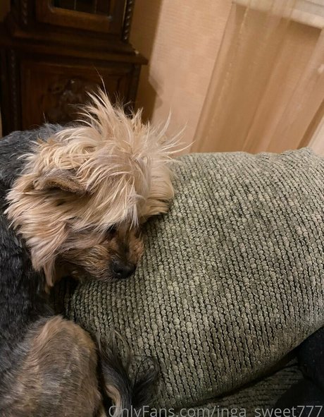 inga sweet777 onlyfans leaks xxx