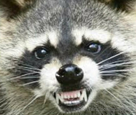 maskkim onlyfans strip tease