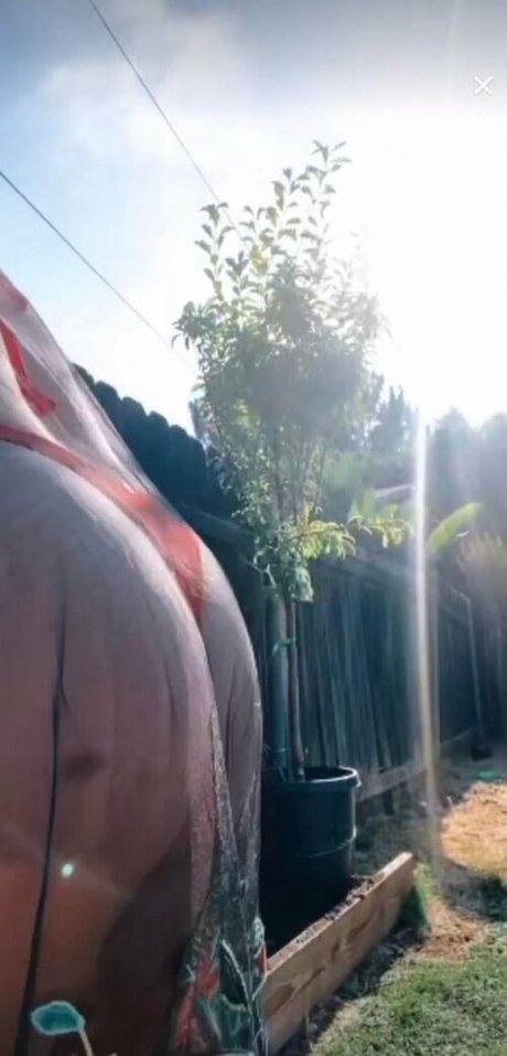 Jessica Miller onlyfans sextape leak