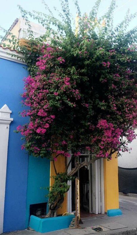 galacticgypsy28 is on onlyfans