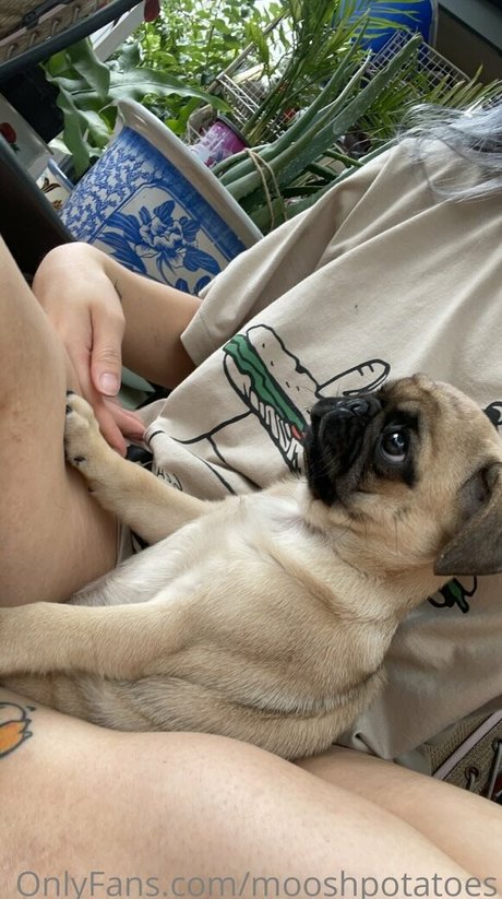 mooshpotatoes leak onlyfans