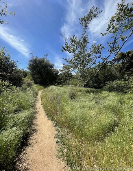 carrion princess nude porn onlyfans