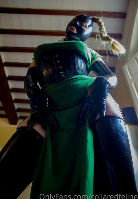collaredfeline onlyfans leaj