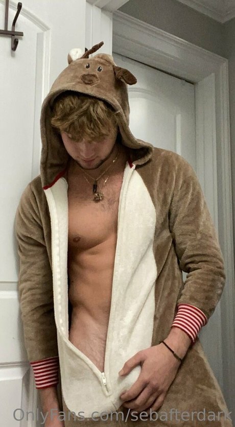 sebafterdark onlyfans xxx