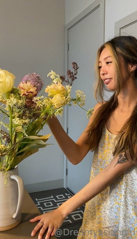 dreamyasiangirlvids onlyfans de