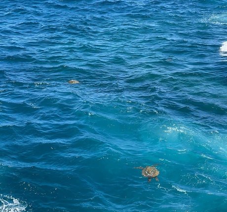 Emiliee Russo nude onlyfans pics