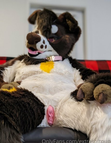 extrasoftpup onlyfans leaks porn