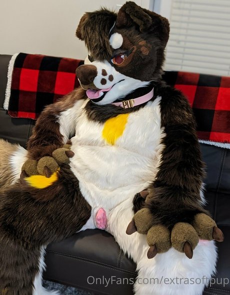 extrasoftpup onlyfans.