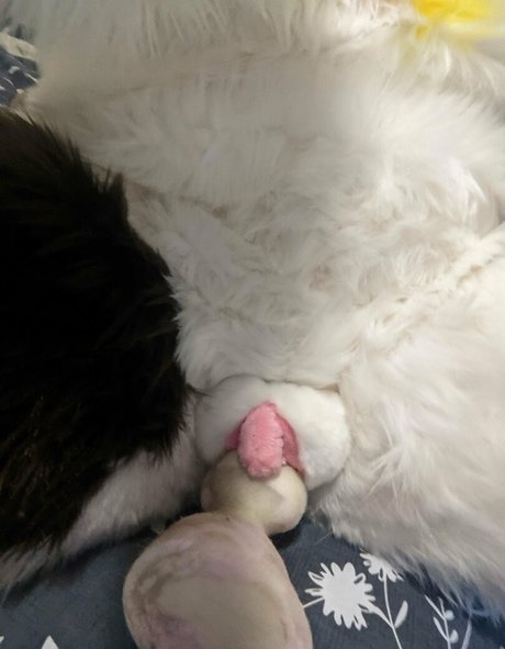 extrasoftpup onlyfans naked leak