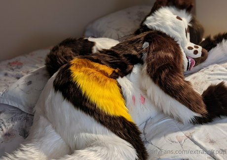 extrasoftpup desnuda onlyfans