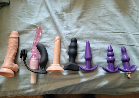 celtic bear onlyfans star