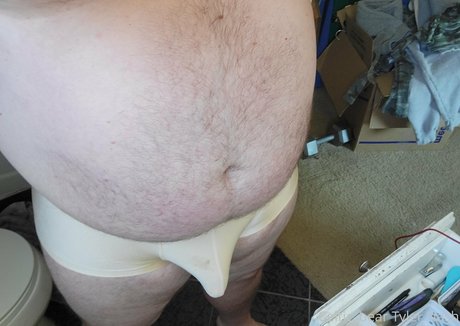 celtic bear only fans pictures