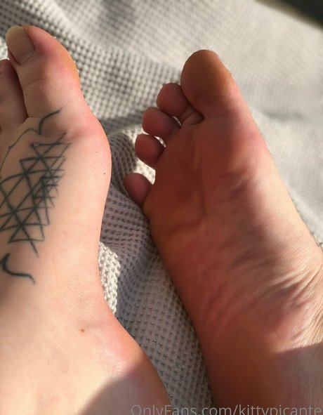 kittypicante onlyfans uncensored