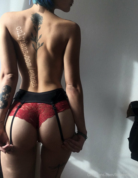 liqweedacid onlyfans leaked sex