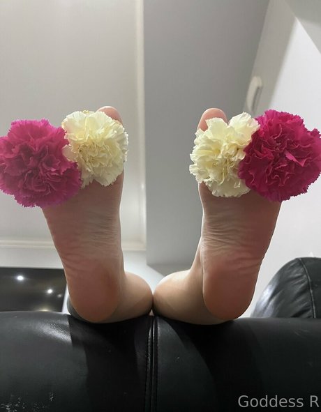 acebosswoman leak only fans