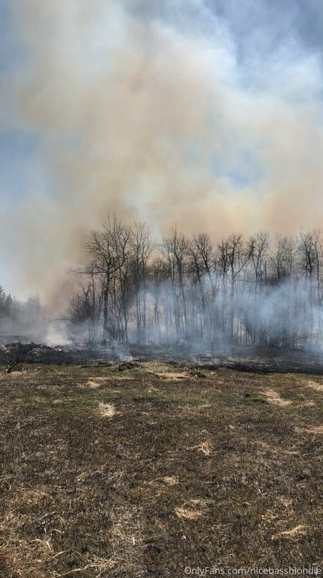 nicebassblondie Profile pic