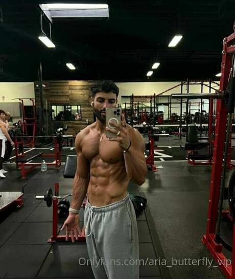 aria butterfly vip onlyfans leams