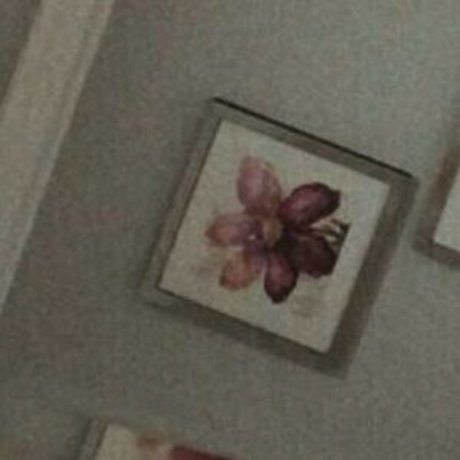 Kittenjojo18 free onlyfans porn