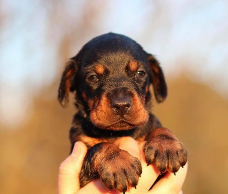 kristenhughey onlyfans leaked tits