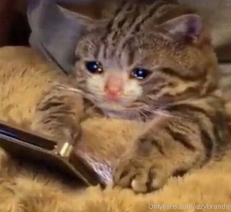 izzybrando tits onlyfans